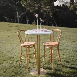Blonde Bentwood Bar Stool with Back Rest